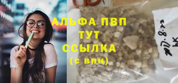прущая мука Корсаков