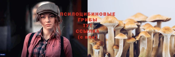 прущая мука Корсаков