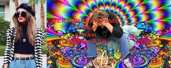 прущая мука Корсаков